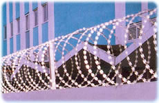 razor wire