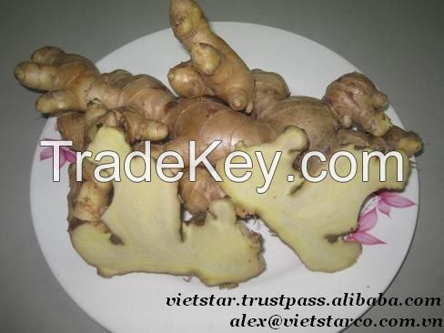 2015 Vietnam Fresh/Dried Ginger