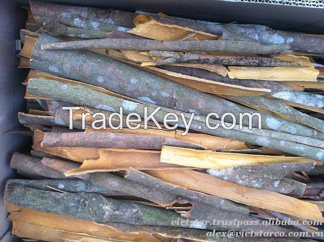 2015 Competitive price of high quality Cinnamon