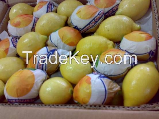 Egyptian Fresh Lemon for sale