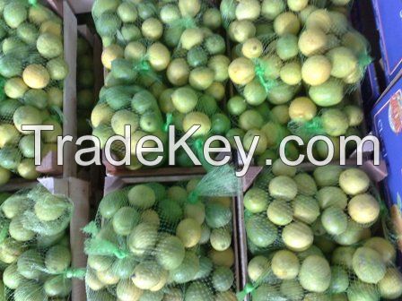 Egyptian Fresh Lime for sale