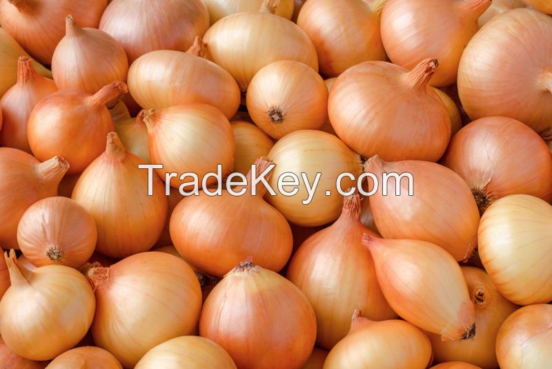 High Quality Fresh Onions (Paerl Onions, Red Onions, Shallots, Yellow Onions)