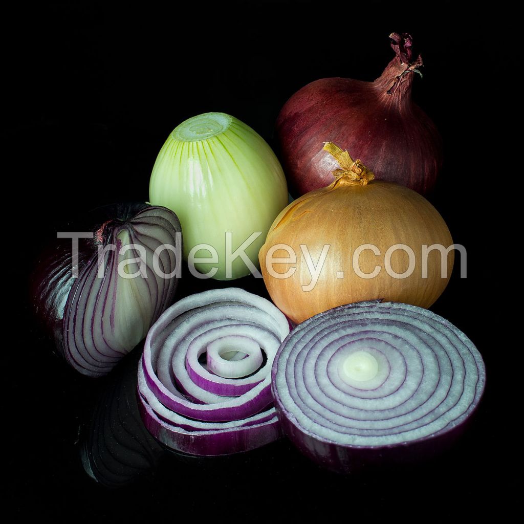 High Quality Fresh Onions (Paerl Onions, Red Onions, Shallots, Yellow Onions)