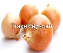 High Quality Fresh Yellow Onions