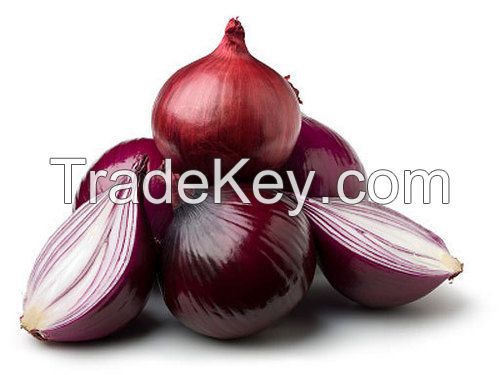 High Quality Fresh Red Onions (calcium 2%)