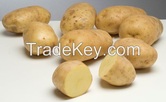 High Quality Bintje Potatoes For Export