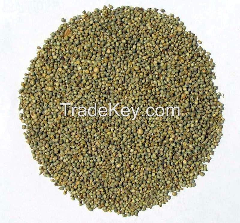 Green Millet