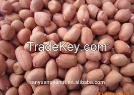 I want to sell raw peanut