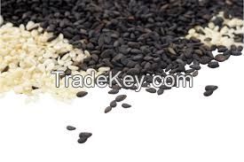 Sesame Seeds