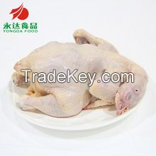 Frozen Whole Chicken, Legs, Wings, Backs, Breast and Other Parts