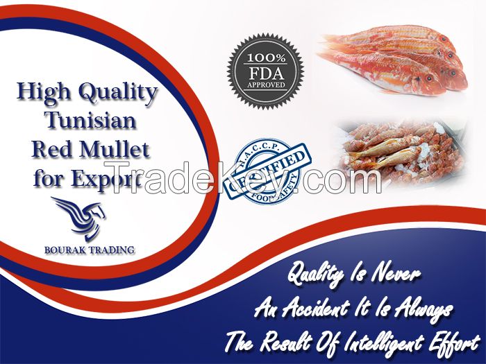 Red Mullet (Ã˜Â³Ã™ï¿½Ã˜Â·Ã˜Â§Ã™ï¿½ Ã˜Â§Ã˜Â¨Ã˜Â±Ã˜Â§Ã™ï¿