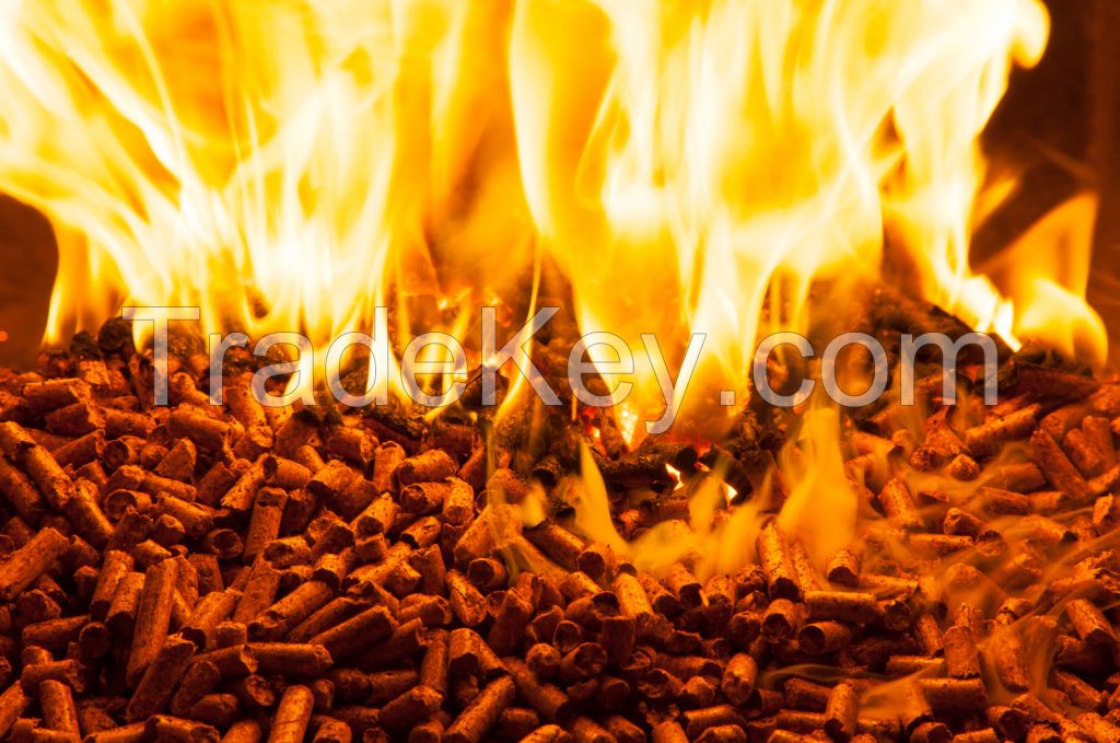 High Quality Pine Din Plus Wood Pellet, wood briquettes, wood chips, firewood