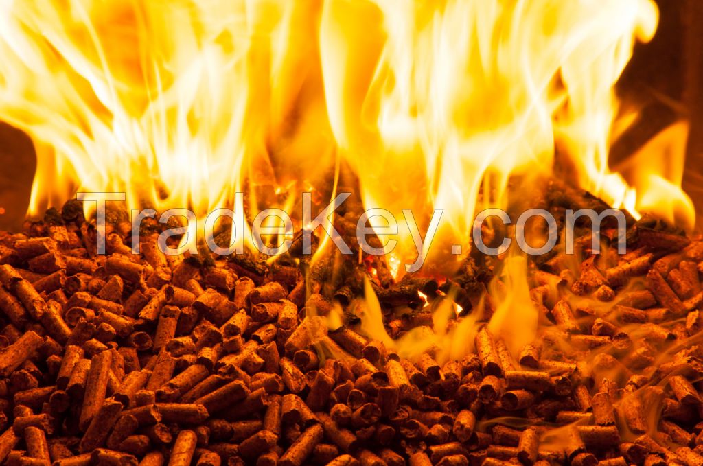 Quality DIN+ and END PLUS Wood pellets/Wood Briquettes