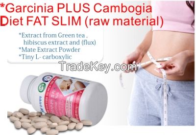  Garcinia PLUS Cambogia Diet Fat Slim
