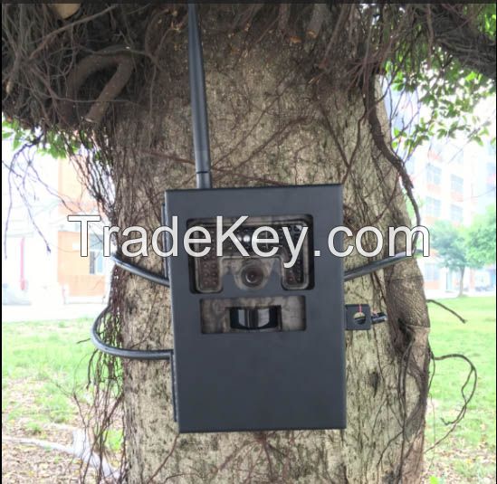 Newest Bl380L 4G Network Trap Cameras Trail Camera 4G Forest Cameras Hunting Cameras Jagd Kamera OEM Factory