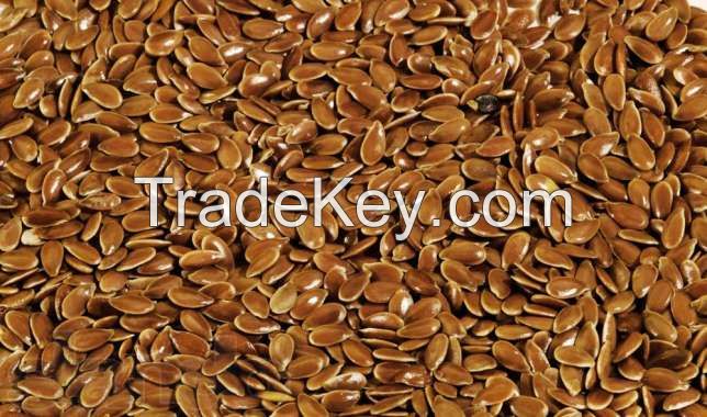 Flax Seeds