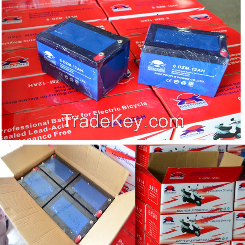 Spot electric bicycle battery