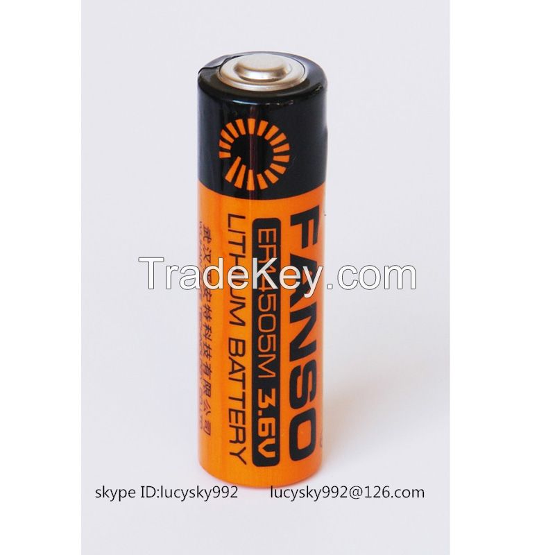 fanso SIZE AA lithium batteries ER14505M 2ER14505M 4ER14505M