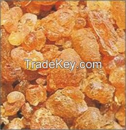 GUM ARABIC