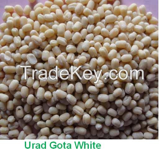 Urad Dal Whole &amp; Split. 