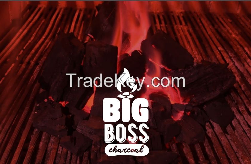 BBQ Charcoal 