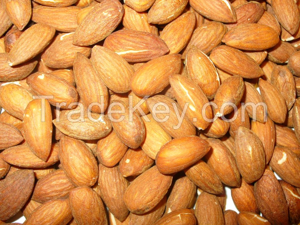 Almond nuts for your healthy diet