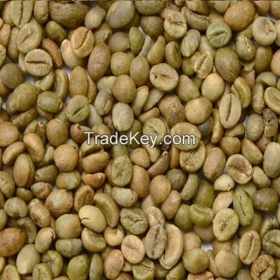 VIETNAM ARABICA GREEN COFFEE BEANS GRADE 1 SCREEN 16