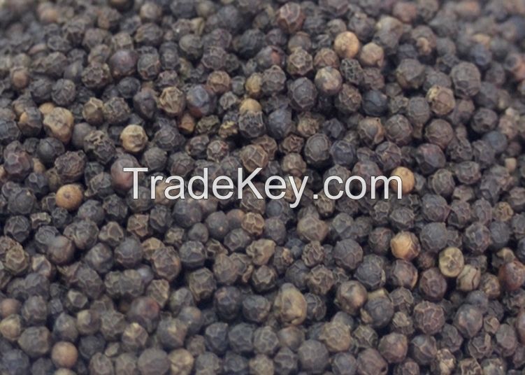 Black pepper 500 G/L; 550 G/L; 580 G/L