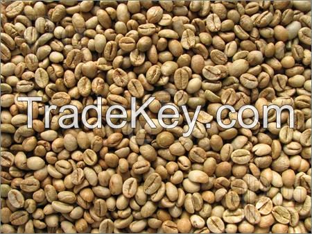 ROBUSTA GREEN COFFEE BEANS GRADE 1 SCREEN 16