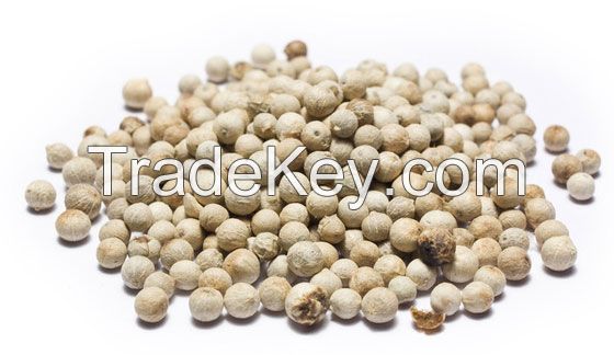 Black pepper 500 G/L; 550 G/L; 580 G/L