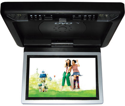 Roof-Mounted In-Car DVD