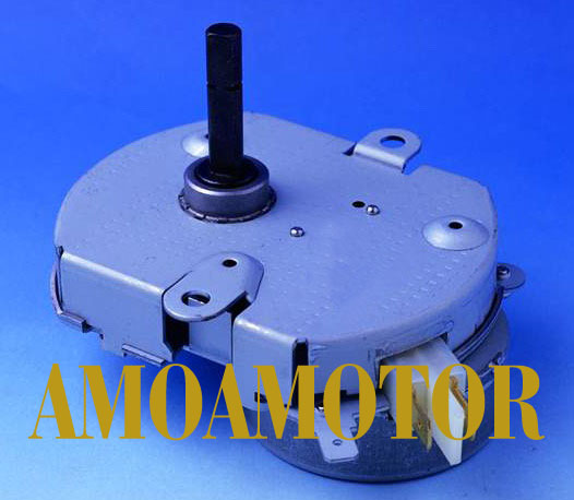 High-Torque Synchronous Moto