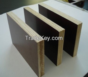 film faced plywood for construction