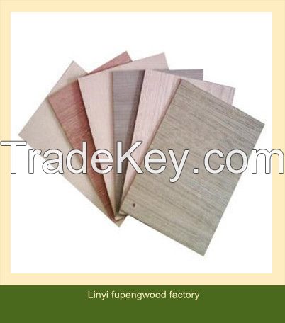 Fancy Plywood for decoration/furniture