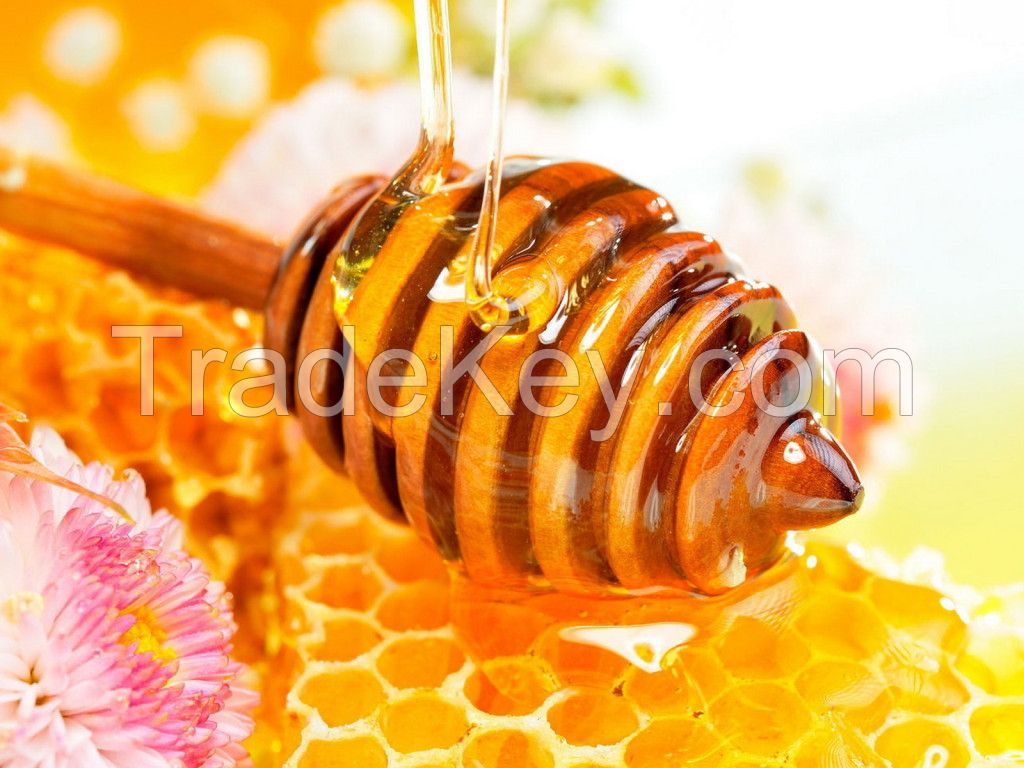 Natural Bee Honey