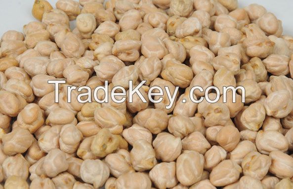 Quality Kabuli Chickpeas