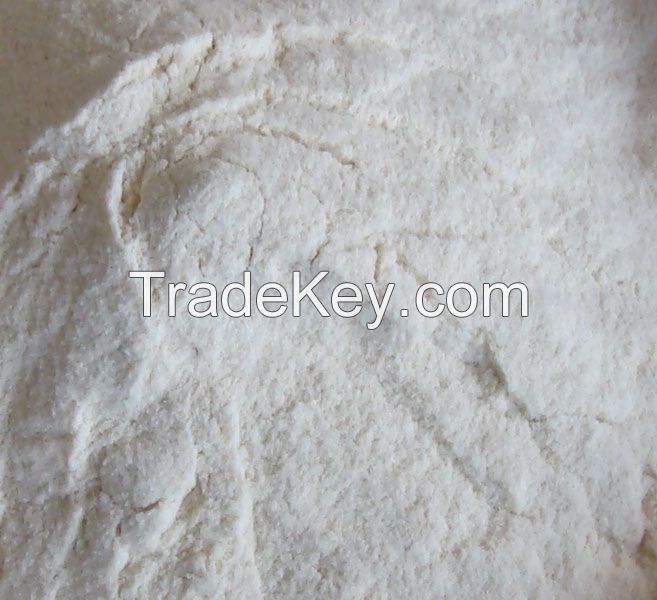 Dehydrated Onion Powder