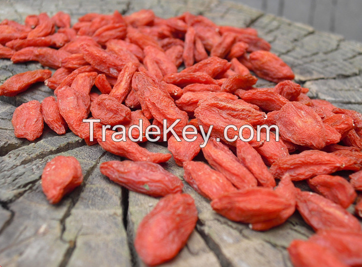 Ningxia Gouqizi, Nutritious Dried Goji berries with different size, Lycii, Chinese wolfberry, Chinese Matrimony vine