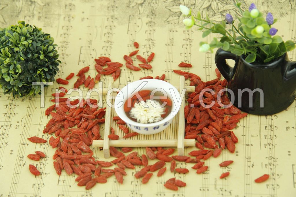 Lycium barbarum--Gojihome health fruit, Boxthorn, Lycill fructus, Ningxia A Grade dried Goji berries, Chinese wolfberry