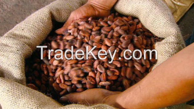 Ivory Coast Origin Organic Cocoa Beans