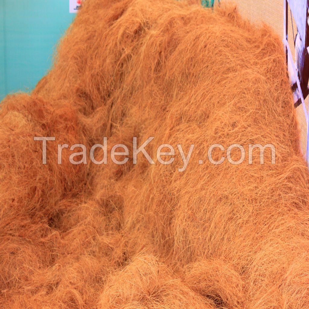 Coir Fibre