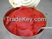 Tomato Paste