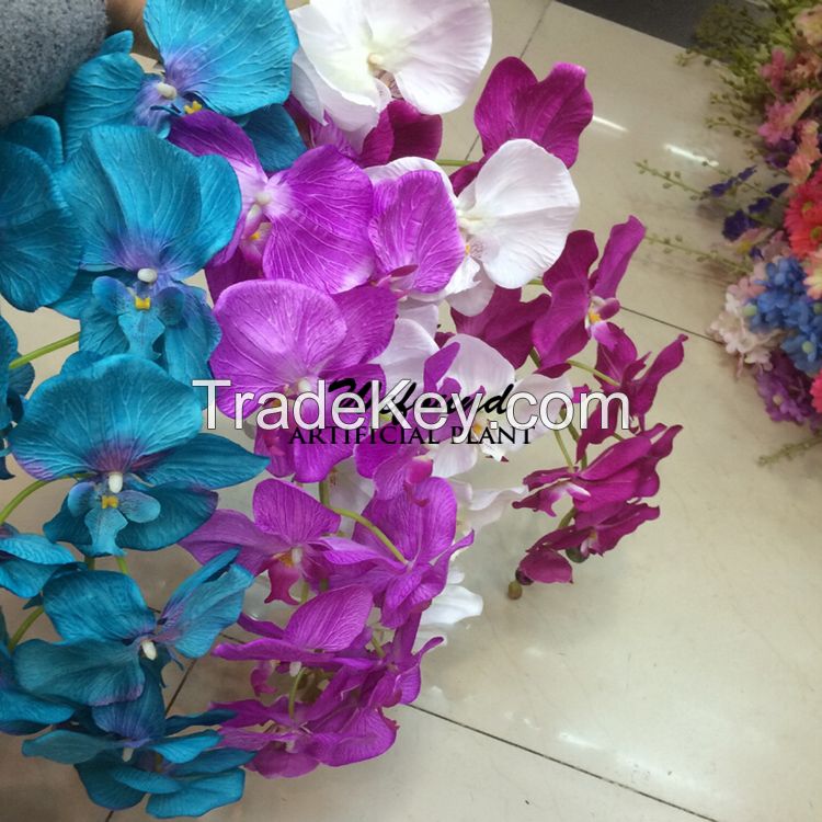 single 12 embossed Phalaenopsis