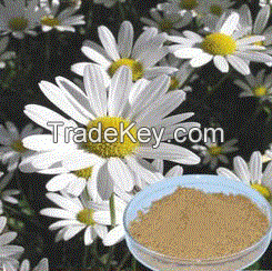 Chamomile Extract