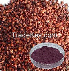 Grape Seed Extract