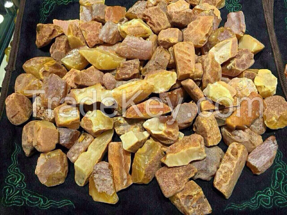 Baltic amber (Samples Available)