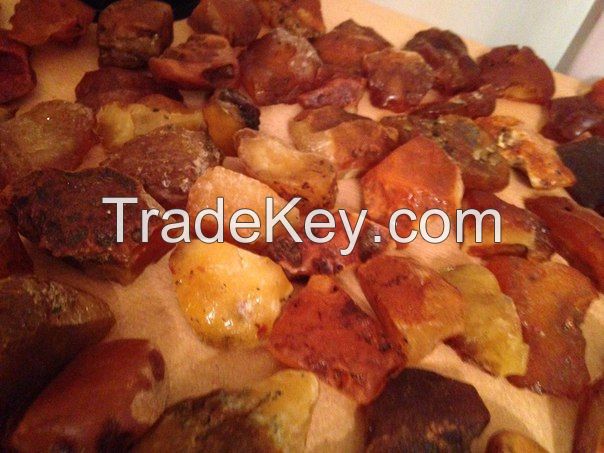 Baltic amber (Samples Available)