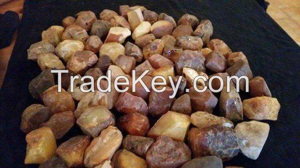 Baltic amber (Samples Available)