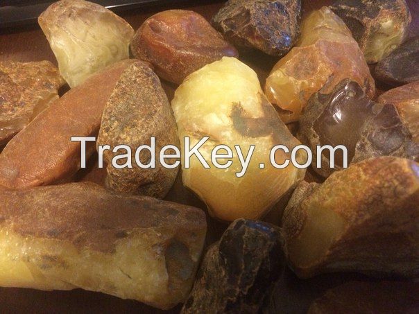 Baltic amber (Samples Available)