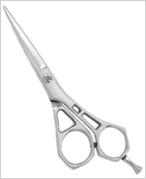 Professional Razor Edge and Thinning Shears